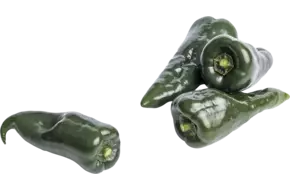 Poblano Peper